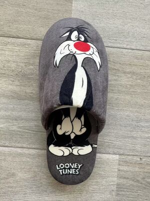 TPR Rubber Sole Flexible Character Men's & Women's House Slippers